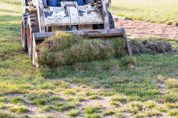 Landscape Leveling Service in Cincinnati