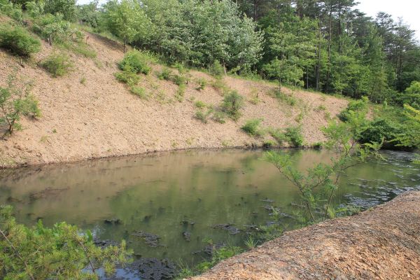 Cost of Pond Erosion Repair in Cincinnati