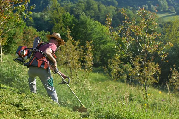 Slope Trimming Service in Cincinnati